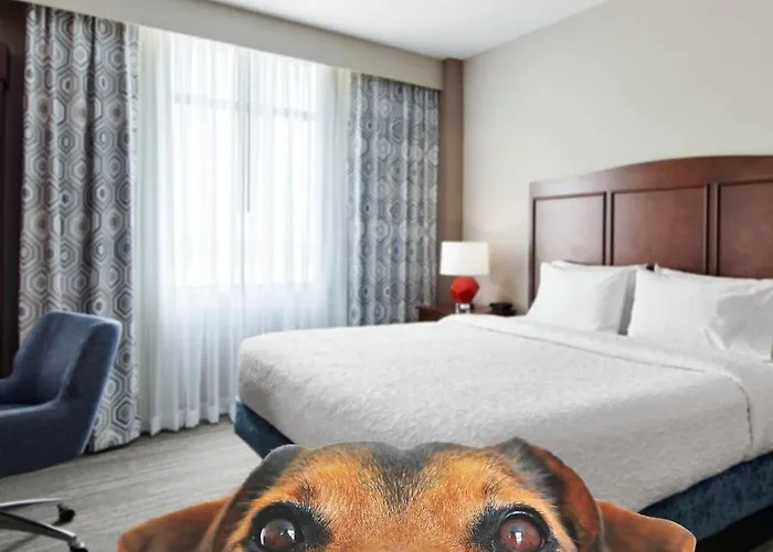 Hotel Hampton & Mt. Prospect