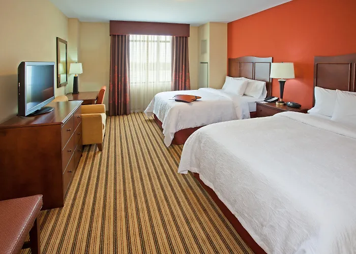 Hampton & Mt. Prospect Hotel 3*
