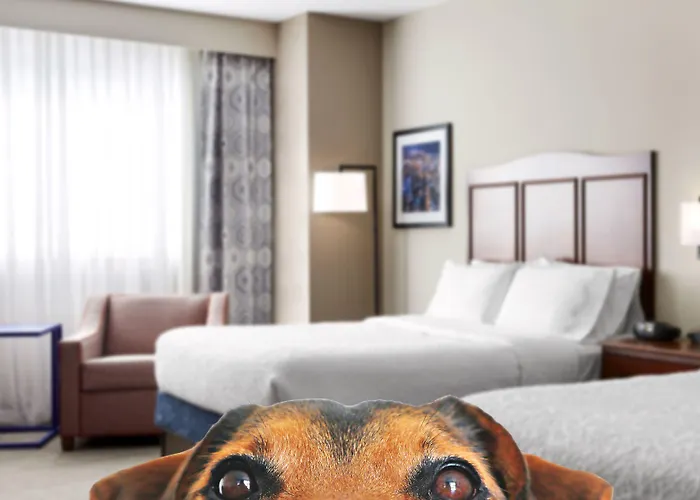 Hotel Hampton & Mt. Prospect Mount Prospect